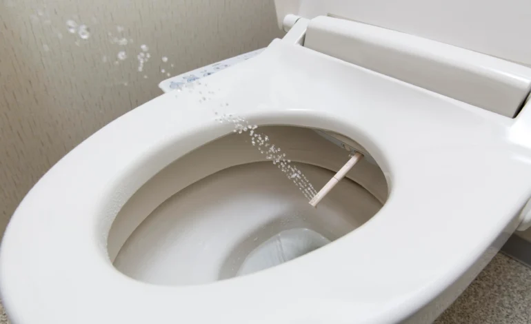 Bidet Cap Stuck in Toilet